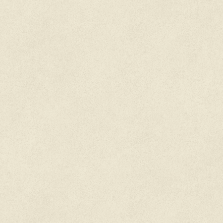 Vinyl-Belag-Strong 46 TS 45